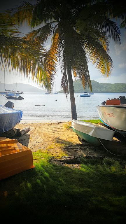 Location Marigot Villa Terre-De-Haut Bagian luar foto
